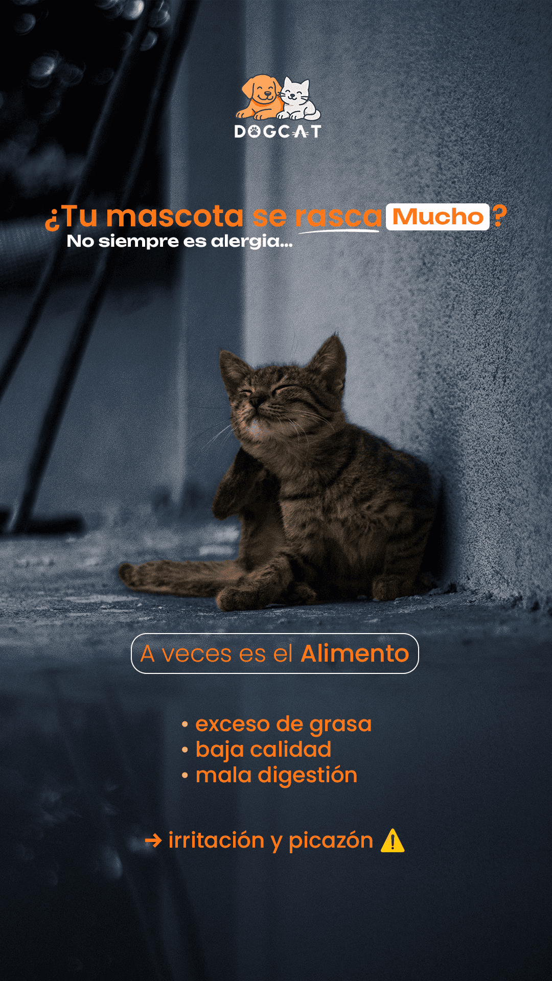 Historia informativa para la audiencia